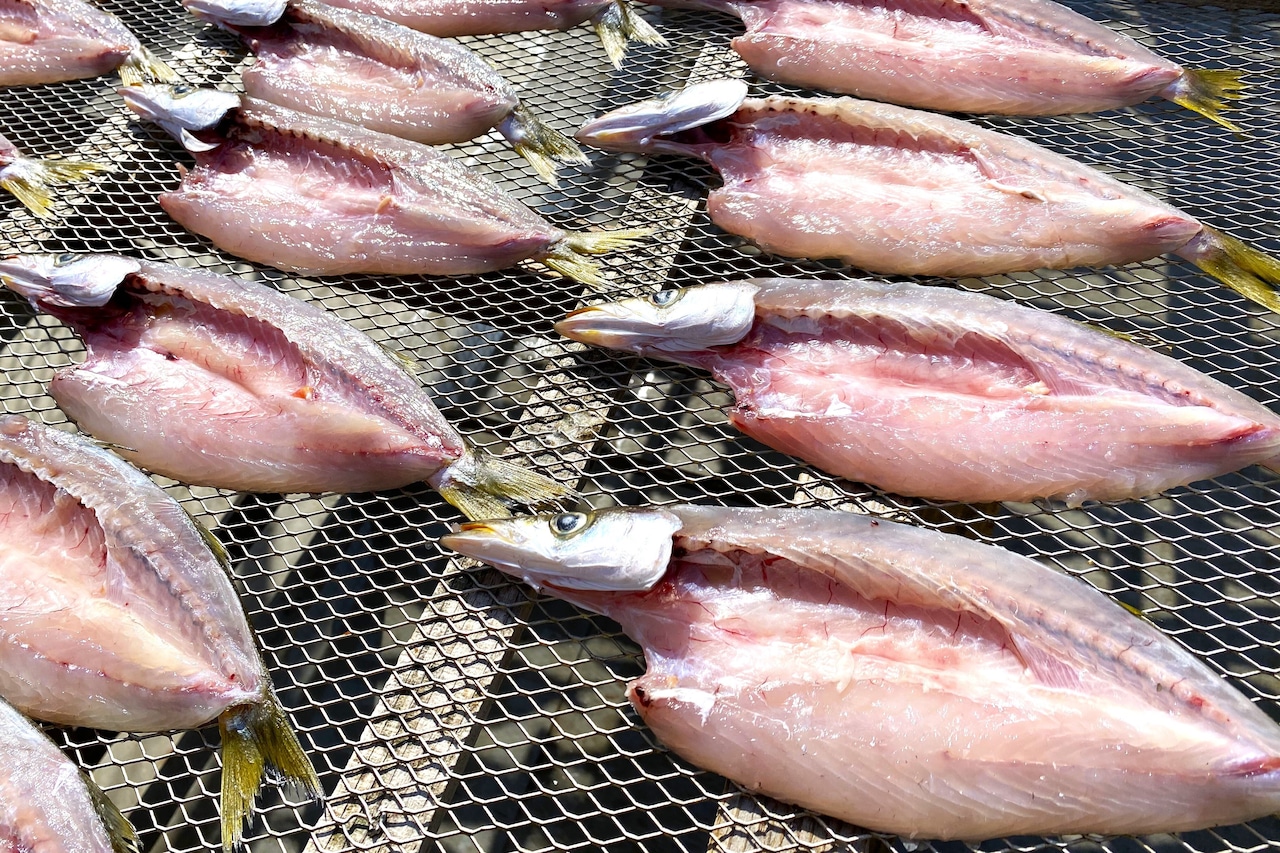 【カマスの干物】×4パック